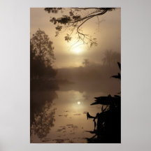 Salida del sol de la Florida Poster
