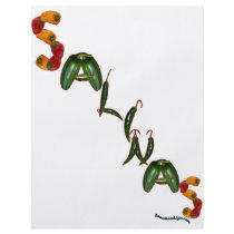 Salinas Chili Peppers flyers by chili_state Salinas Chili Peppers flyers
