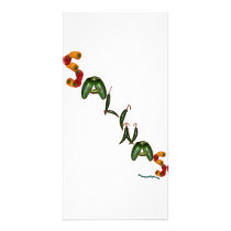 Salinas Chili Peppers photo cards by chili_state Salinas Chili Peppers photo cards