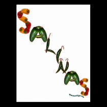Salinas Chili Peppers postcards