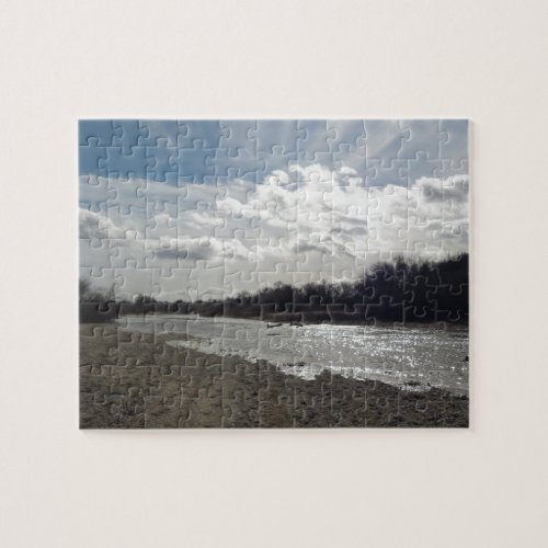 Salinas River, Paso Robles, January puzzle