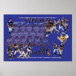 Saline Buzz Baseball 2006 Print