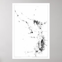 Salish Sea Census Dotmap Poster