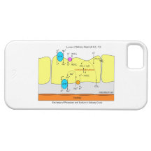 Saliva Gland Secretion Duct Diagram iPhone 5 Cover