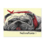 Salivations Post Cards