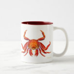 Sally Lightfoot Crab Mug