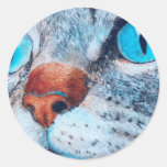 Sally the Blue Eyed Cat Sticker