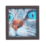 Sally the Tabby Cat Premium Keepsake Boxes