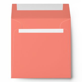 Salmon Birthday Party Square Envelope