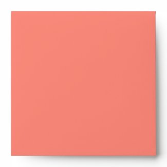 Salmon Birthday Party Square Envelope - White
