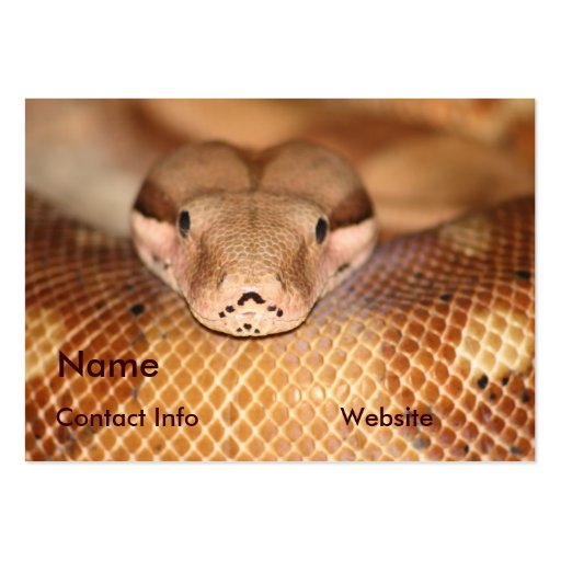 Salmon Boa Business Card (front side)