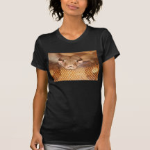 Salmon Boa Shirt
