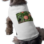 Salmon Colored Rose Pet Clothes