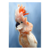 Salmon Crested Cockatoo ACEO Art Trading Cards business cards by jaisjewels Salmon Crested Cockatoo ACEO Art Trading Cards business cards