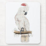 Salmon-Crested Cockatoo by Edward Lear Mouse Pad
