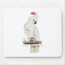 Salmon-Crested Cockatoo by Edward Lear Mouse Mat