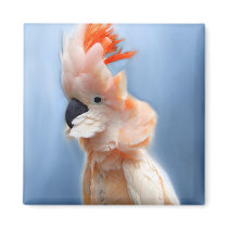 Salmon Crested Cockatoo Magnets by jaisjewels Salmon Crested Cockatoo Magnets