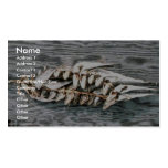 Salmon Egg Fry Business Cards