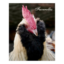 Salmon Faverolles Rooster posters by Classic_Cat Salmon Faverolles Rooster posters