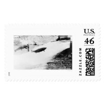 Salmon Jumping Alaska 1907 Postage Stamp