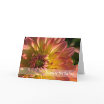 Salmon Pink & Yellow Dahlia DSC6059 Card