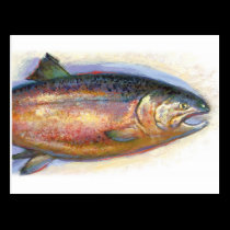 Salmon postcard postcards