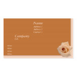 Salmon Rose business cards
