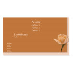 Salmon Rose business cards