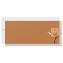 Salmon Rose rack cards