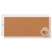 Salmon Rose rack cards