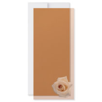 Salmon Rose rack cards