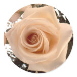 Salmon Rose stickers