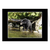 "Salmon Spotting" Black Bear Gifts Greeting Cards