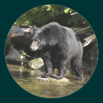 "Salmon Spotting" Black Bear Gifts stickers by HANDPRINTS "Salmon Spotting" Black Bear Gifts stickers