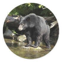 "Salmon Spotting" Black Bear Gifts Round Stickers