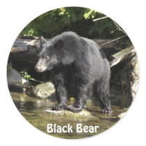 "Salmon Spotting" Black Bear Wildlife Stickers
