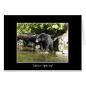 "Salmon Spotting" cards by HANDPRINTS "Salmon Spotting" cards