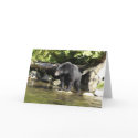 "Salmon Spotting" Greeting Card