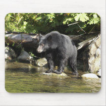 "Salmon Spotting" Mouse Pad mousepads