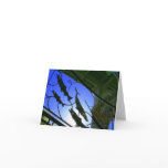 Salmon Under the Aurora Bridge Card