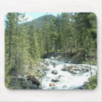 SalmonLaSac mousepads by jdspenguins SalmonLaSac mousepads