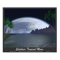 Salohcin Tropical Moon posters