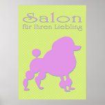 salon for their favourite posters
