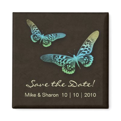 Salon Spa Butterfly Magnet Brown Blue Yellow by spacards