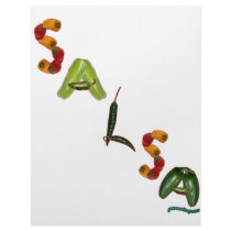 Salsa Chili Peppers letterhead by chili_state Salsa Chili Peppers letterhead