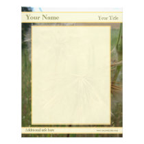 Salsify Seeds in Field Custom Letterhead
