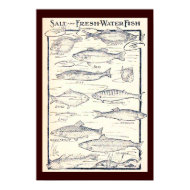 Salt and Fresh Water Fish print