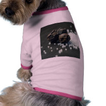 Salt And Pepper pet clothing
