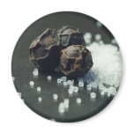 Salt And Pepper Magnets