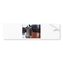 Salt And Pepper Shackers bumper stickers